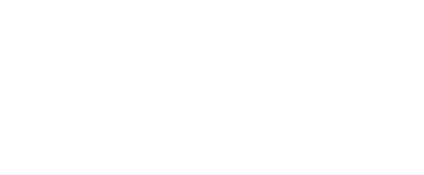 Deutscher Nord und Westbau Logo